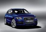 Audi SQ5 TDI 2013 года (WW)